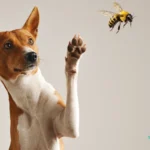 Dog Gets Stung by a Bee